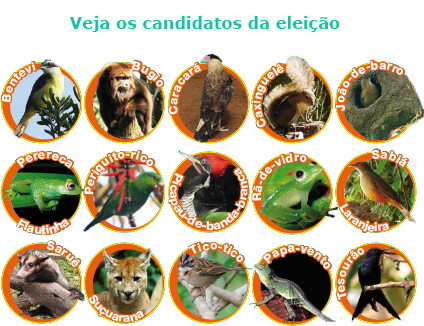 Quadro dos candidatos da eleio